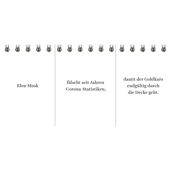 Buch: Der Desinformator